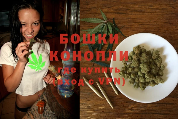 PSILOCYBIN Абдулино